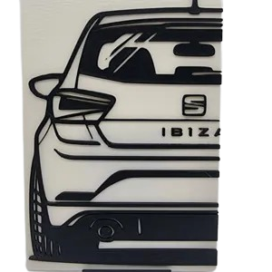 Seat Ibiza Mk5-2